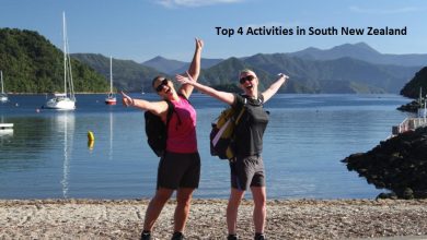 Top 4 Activities in South New Zealand